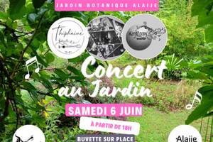 Concert en plein air