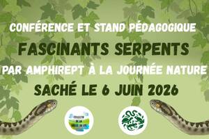 Conférence