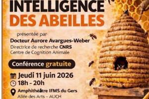 Intelligence des abeilles 