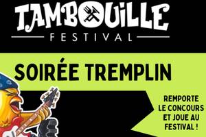 Les Vosges ont un Incroyable Talent 2026