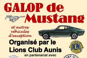 photo Galop de Mustangs