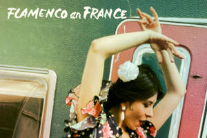 photo Spectacle de fin d'année des élèves de Flamenco en France