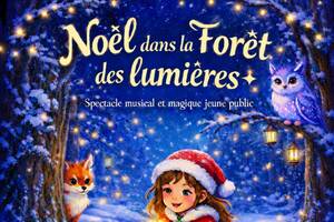 photo Noël dans la forêt des lumières