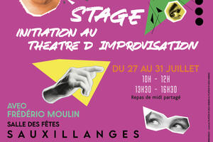 photo Stage d'initiation au théâtre d'improvisation