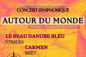 photo Le Voyage du  Piccolo Orchestra