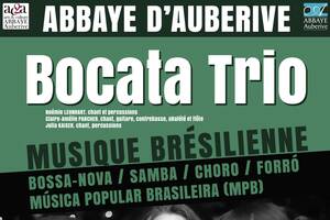 photo Concert avec le Bocata Trio