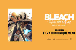photo Bleach : Thousand-Year Blood War - The Calamity