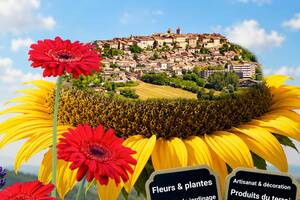 photo Place aux Fleurs - dimanche 18 avril 2027