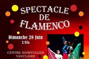 photo SPECTACLE FLAMENCO