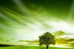 photo Vive les vers verts !