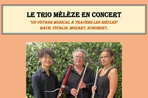 photo Trio Mélèze