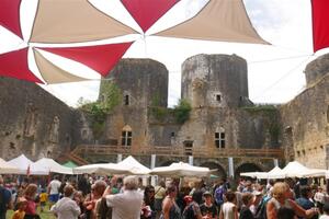 photo Fête des Fous 2026