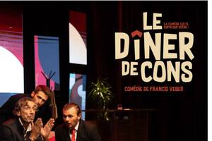 photo Le Diner de Cons