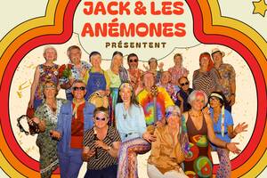 photo Jack et les Anémones au Camping Kérisole