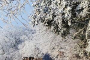 photo Le barde de Gascogne fête le solstice d'hiver