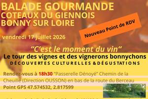 photo Balade Gourmande autour des Vins Coteaux du Giennois Le 17 juillet 2026 à Bonny Sur Loire (45)