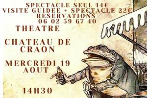 photo Roman de Renart, spectacle solo