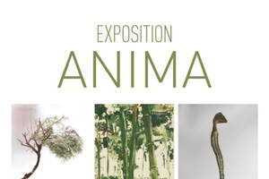 photo Anima