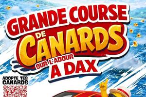 photo Course de canards sur l'Adour