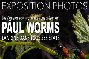 photo Expo Photos :