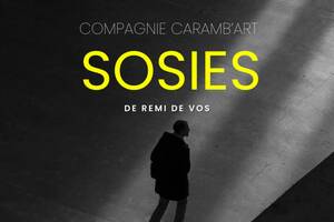 photo THEATRE Sosies de Rémi De Vos