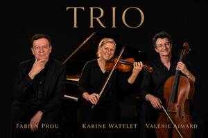 photo Trio piano vilon violoncelle Schubert et Beethoven