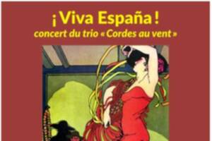 photo concert