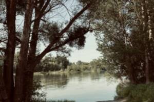 photo Balades contées en bord de Loire