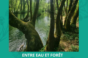 photo Balade Nature & Détente