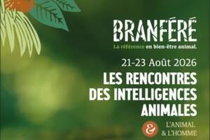 photo LES RENCONTRES DES INTELLIGENCES ANIMALES