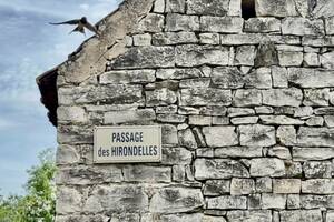 photo En douce