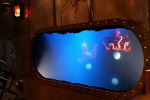 photo   Modulus Jonglage / Marionnettes par la compagnie Théâtre bascule