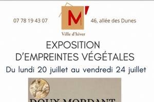 Doux Mordant - Empreintes végétales