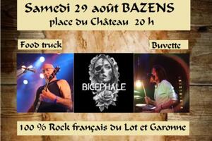 photo Concert 100 % Rock français du Lot et Garonne