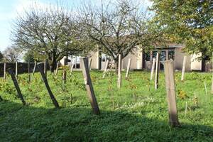 photo VISITE-DÉGUSTATION : Champlitte et ses vignes