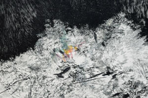 photo Vestige • exposition collective