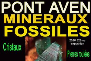 photo Bourses aux minéraux et fossiles