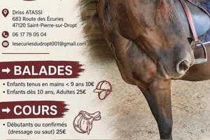 Balade à cheval ou poney et cours d'équitation durant l'été