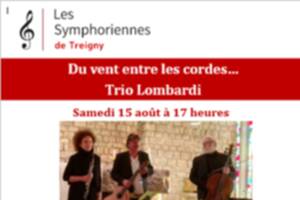 Du vent entre les cordes