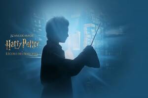 Harry Potter à l'école des sorciers : 25 ans de Magie au cinéma !