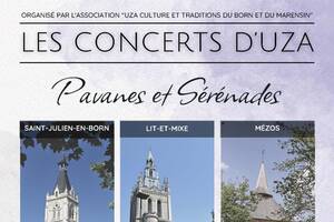 les concerts d'UZA