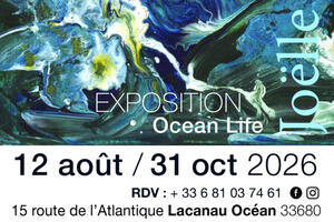 photo Ocean Life
