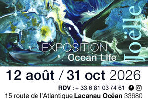 photo Ocean Life