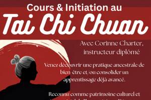 photo Initiation / Cours Tai Chi Chuan