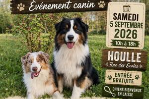 Evénement canin au Domaine de Texota