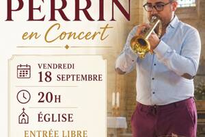 photo Julien Perrin en concert