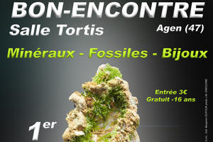 1er SALON MINERAUX FOSSILES BIJOUX