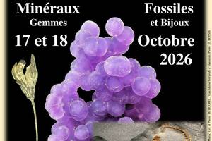 43ème Bourse exposition-vente de minéraux, fossiles et pierres taillées