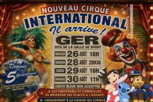 Nouveau cirque international