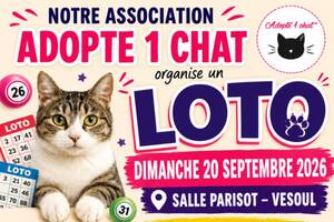 Loto caricatif association Adopte1Chat